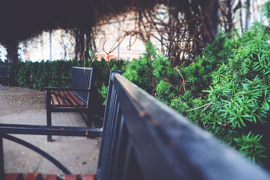 bench, blur, chairs, close-up, foliage, leaves, metal, metal frame HD wallpaper
