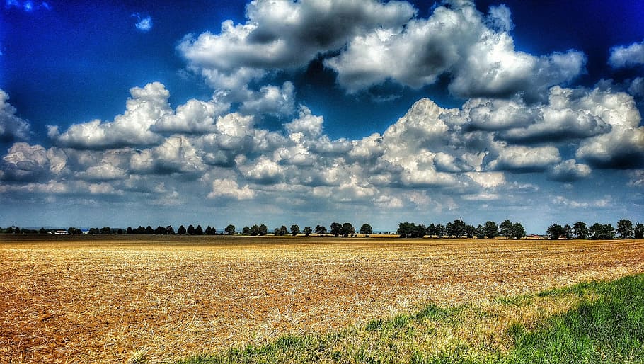 landscape, field, sky, clouds, horizon, view, scenery, stubble HD wallpaper