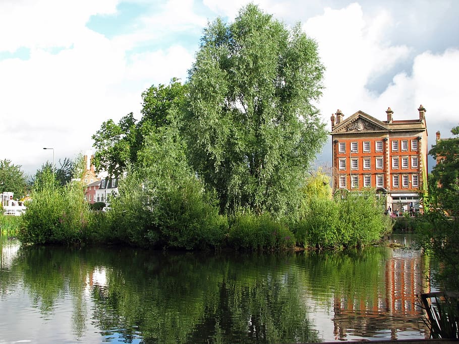 pond, tree, water, reflection, beautiful, summer, green, building HD wallpaper