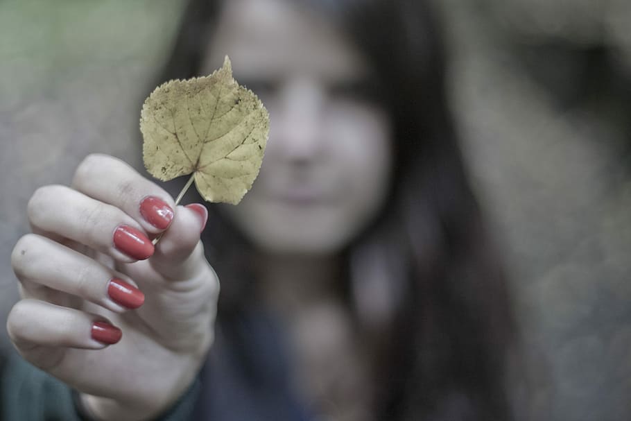 selective focus of woman holding yellow leaf, gray, green, hands HD wallpaper