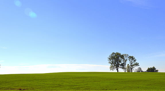 green field during day time wallpaper, Landscape, Tree, Warmia HD wallpaper