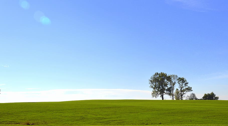 green field during day time wallpaper, Landscape, Tree, Warmia HD wallpaper