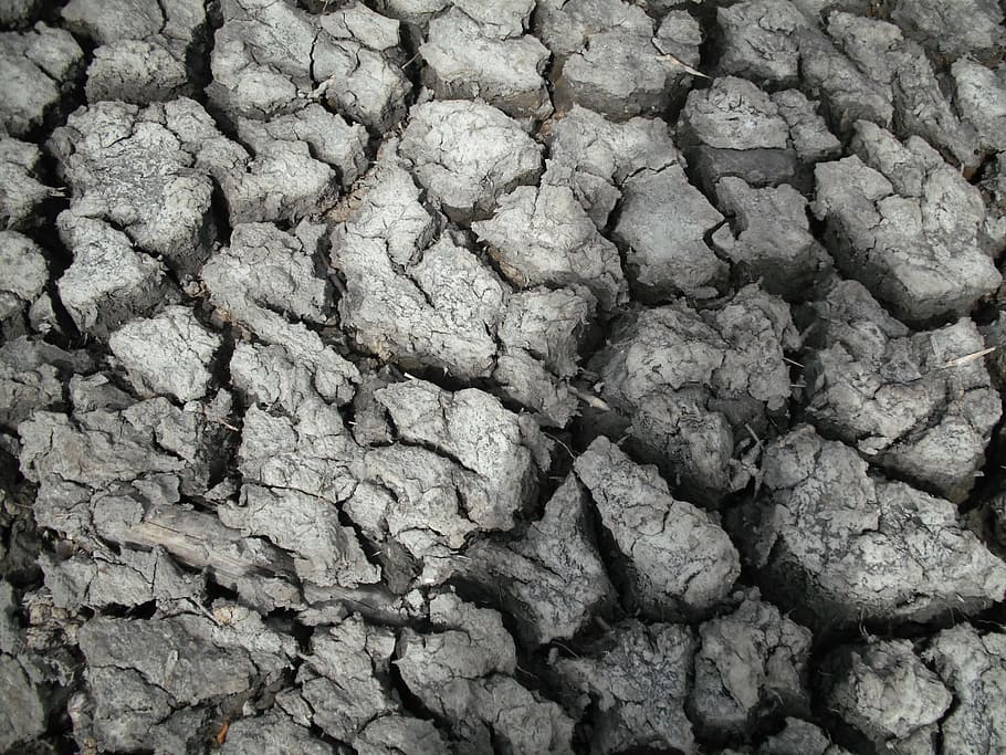 earth, dry, crack, full frame, backgrounds, textured, no people HD wallpaper