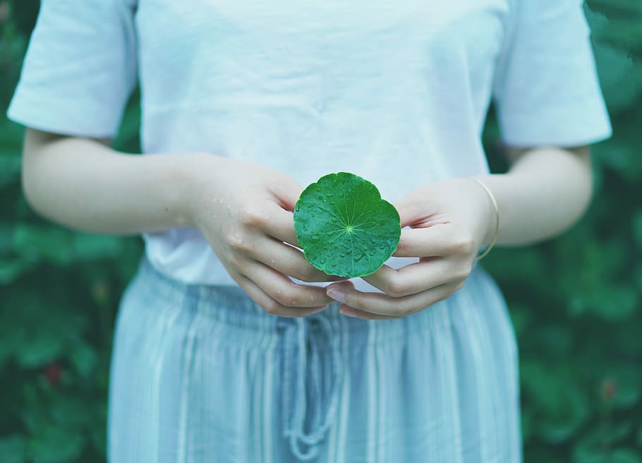 woman holding green leaf, woman standing holding leaf, person HD wallpaper