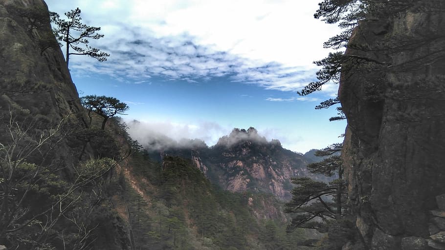 huangshan, the scenery, cloud, tree, plant, sky, beauty in nature