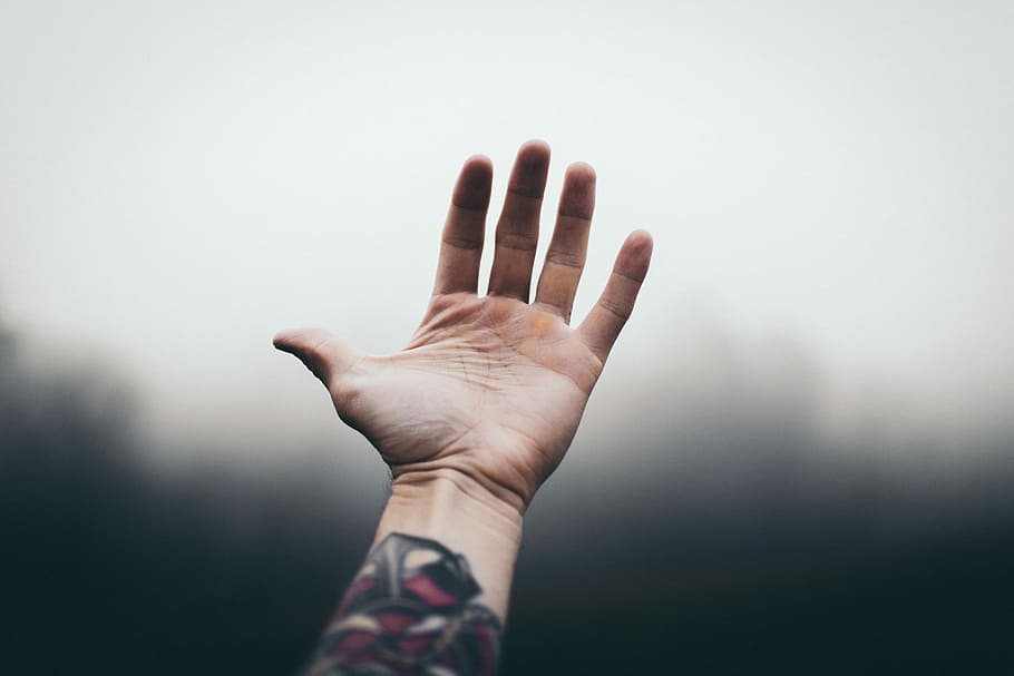 Selective Focus Photography of Person's Arm With Tattoo · Free Stock Photo