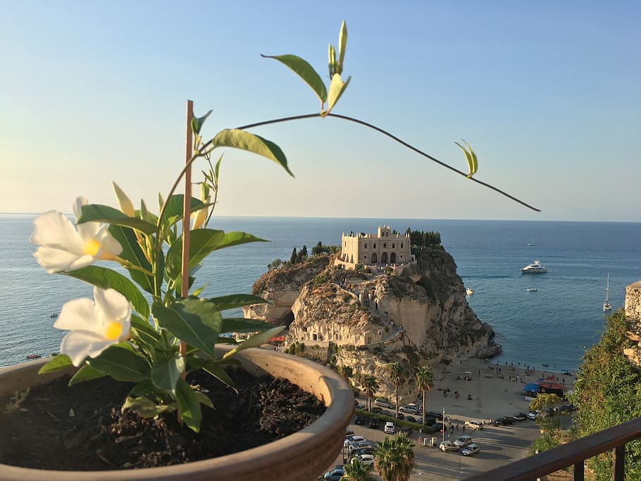 tropea, calabria, italy, sea, water, plant, horizon over water, HD wallpaper