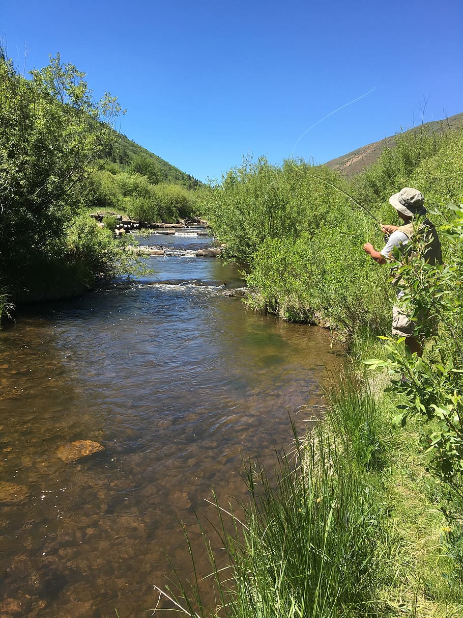 Stream, Fishing, Fly, Fly, River, Nature, fisherman, outdoors