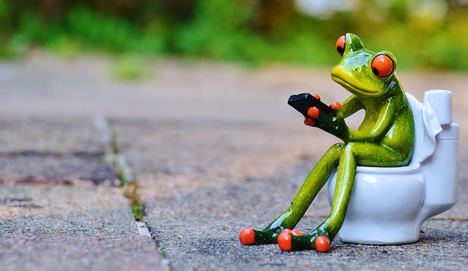 ceramic green frog sitting on toilet bowl figurine, mobile phone