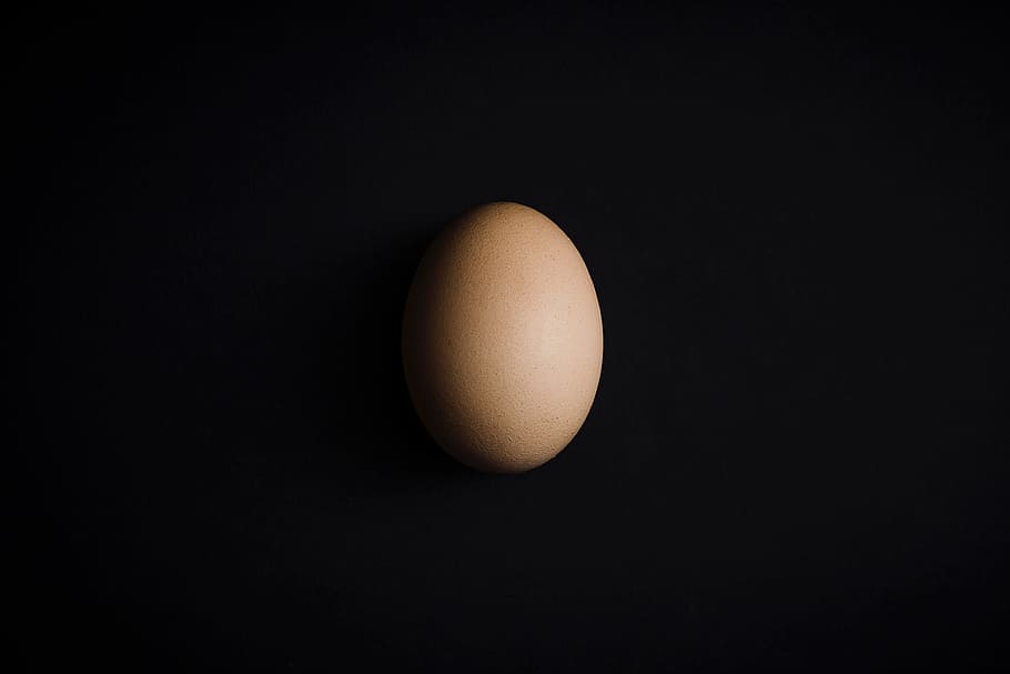raw, egg, shell, food, healthy eating, food and drink, wellbeing HD wallpaper