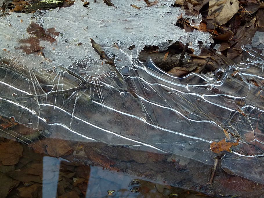ice, winter, stream, water, cold, frost, frozen, icy, day, dry HD wallpaper