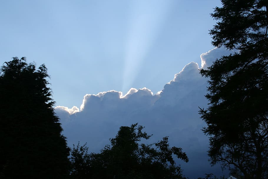 cloud, silver, lining, sky, silhouette, blue, tree, tress, ray HD wallpaper
