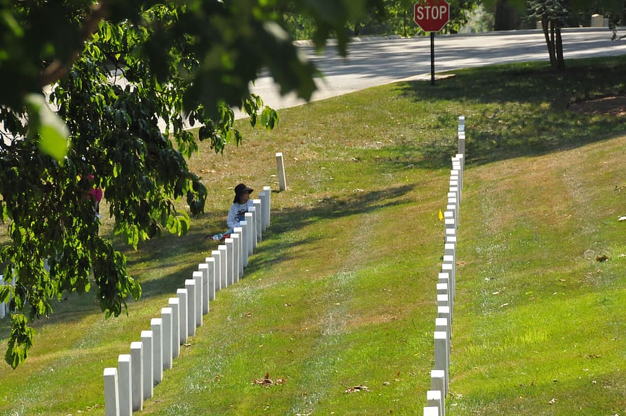 arlington, washington dc, soldier, memory, memorial, graves HD wallpaper