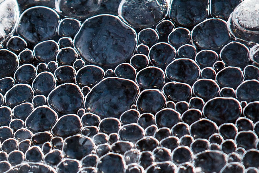 bubbles, water, circles, day, full frame, backgrounds, no people HD wallpaper