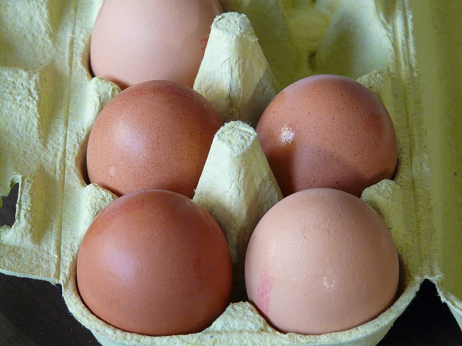 egg box, food, food and drink, freshness, healthy eating, wellbeing HD wallpaper