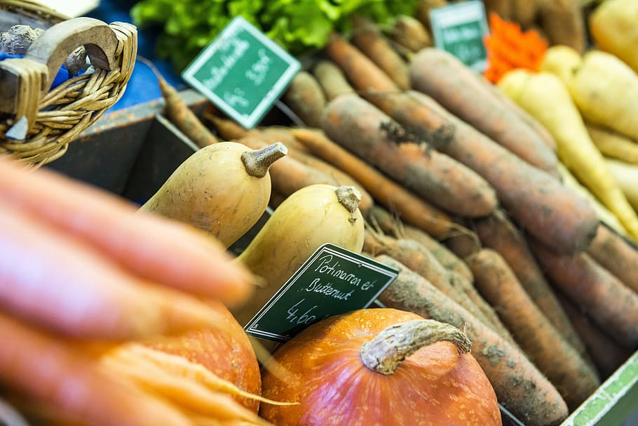 vegetables, fall, squash, pumpkin, market, vegetable garden HD wallpaper