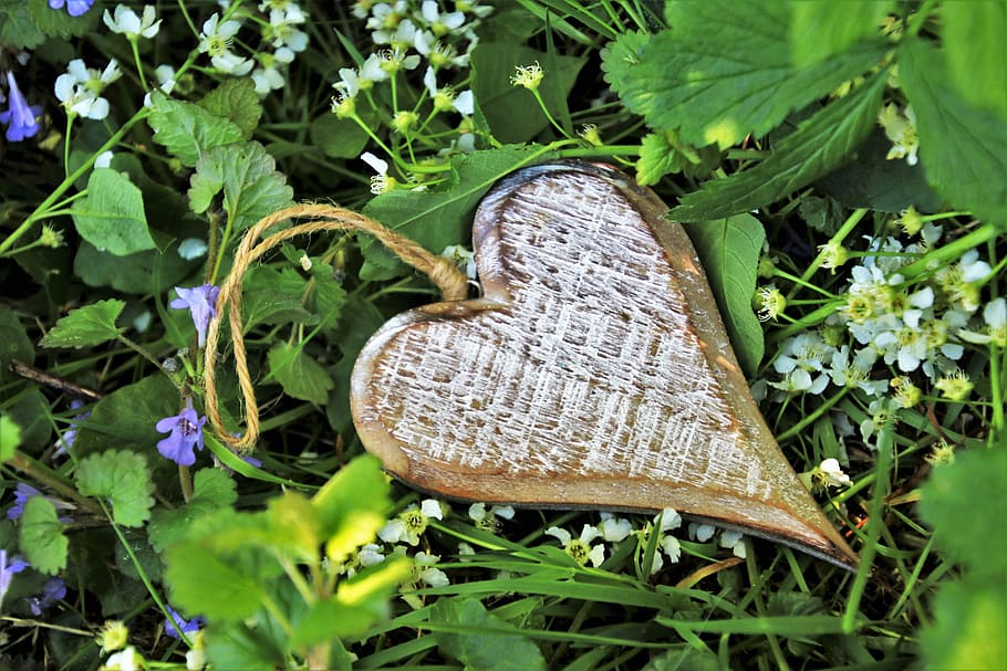 heart, spring, wooden, wildflowers, romantic, style, ornament