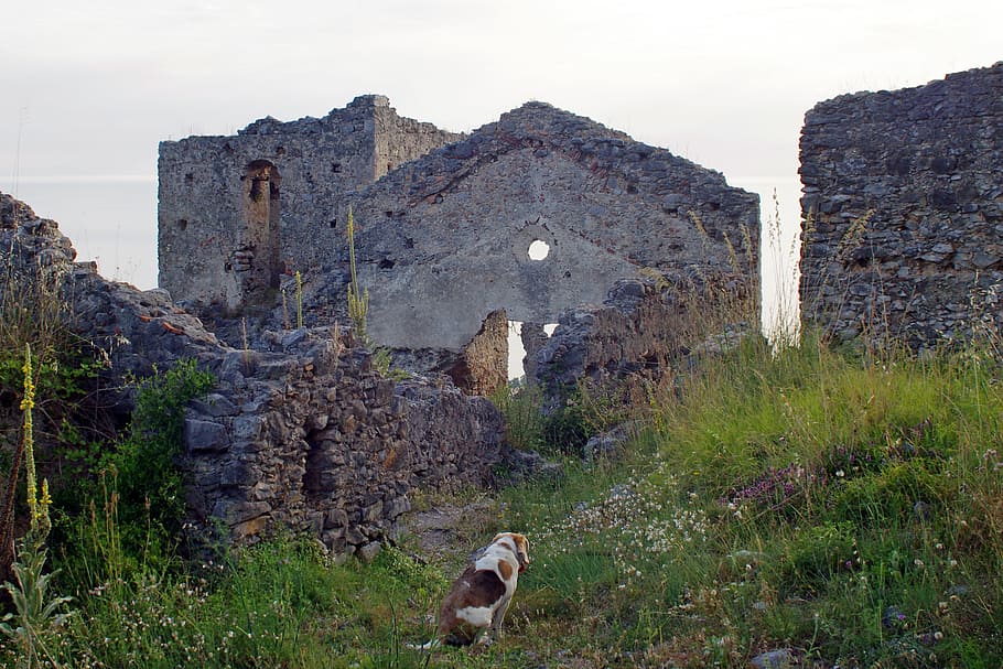 Cirella, Ruins, ruins of cirella, calabria, italy, cirella ancient, HD wallpaper