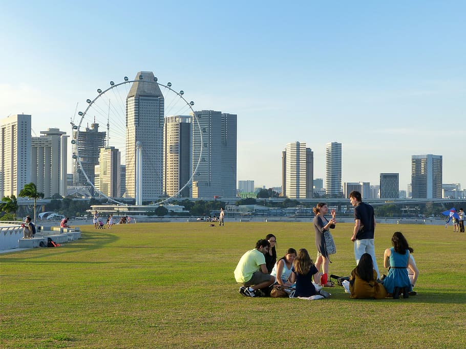 group of people on park near London Eye at daytime, field, singapore, HD wallpaper