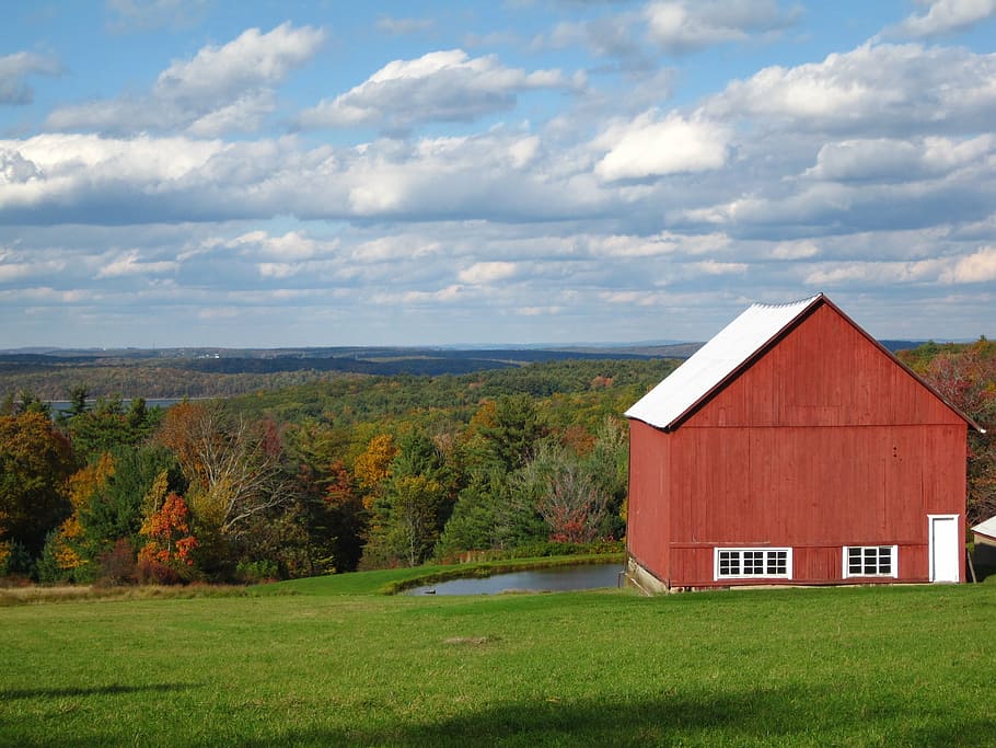 barn, fall, trees, autumn, meadow, scenic, scenery, outdoor HD wallpaper