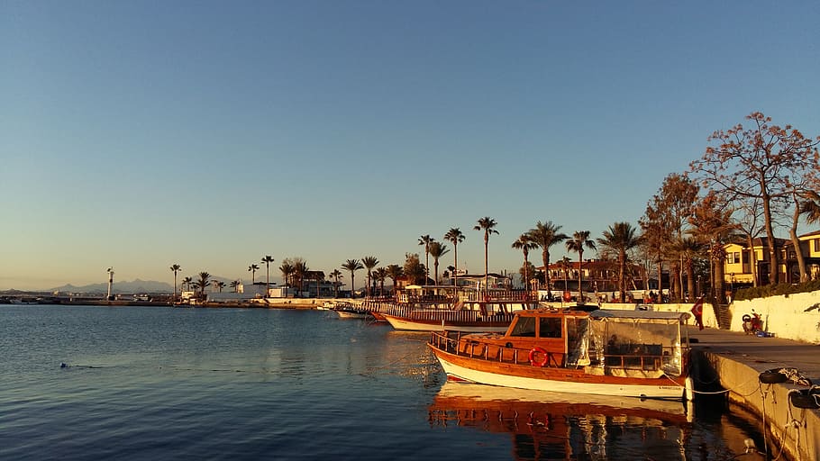 turkey, side, resort, yachts, palm trees, water, nautical vessel HD wallpaper