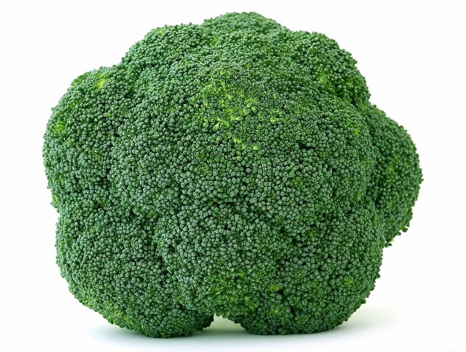 green leaves, appetite, broccoli, brocoli broccolli, calories, HD wallpaper