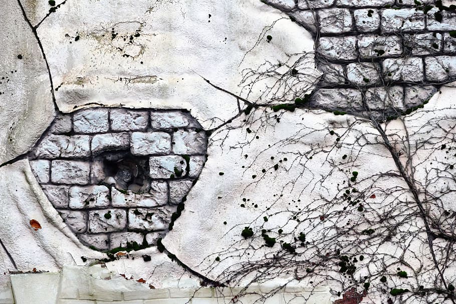 Texture, Brick Wall, bricks, brick wall background, old, grunge HD wallpaper
