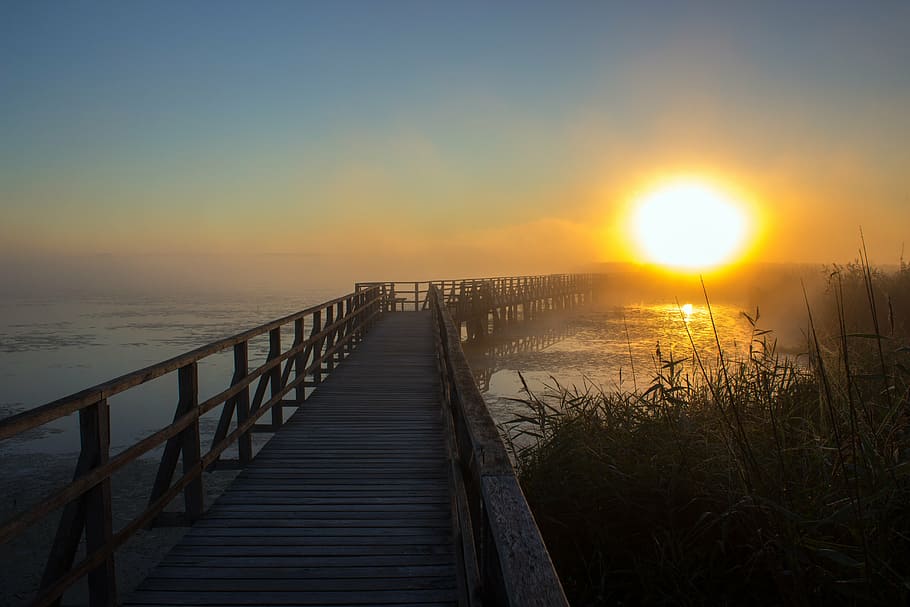 wooden dock on body of water during sunset, sunrise, web, reed HD wallpaper