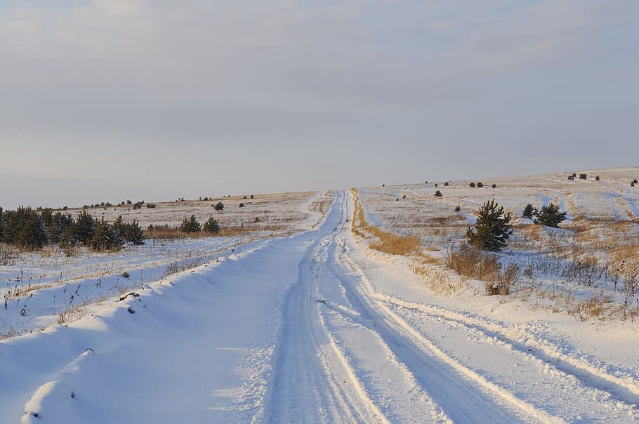 Winter, Nature, Forest, Trees, Snow, frost, road, cold temperature HD wallpaper