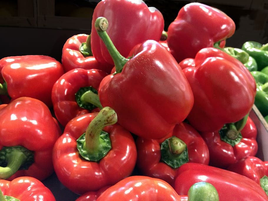 pepper, red, vegetables, red pepper, food and drink, freshness HD wallpaper
