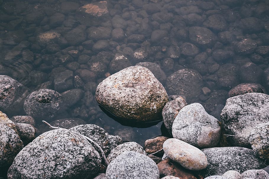 close up view of stone in body of water, rocks on body of water HD wallpaper