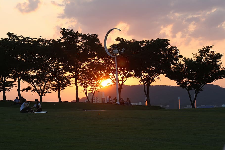 sunset, glow, park, tree, silhouette, outdoors, nature, sky HD wallpaper