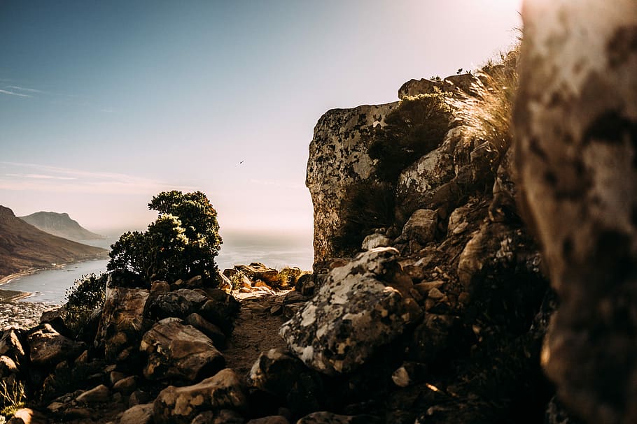 rock formation during day time, rocks near and trees near seashoe HD wallpaper