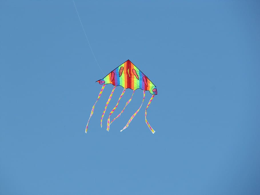 air, snakes, rainbow, sky, blue, day, summer, flying, kite - toy HD wallpaper