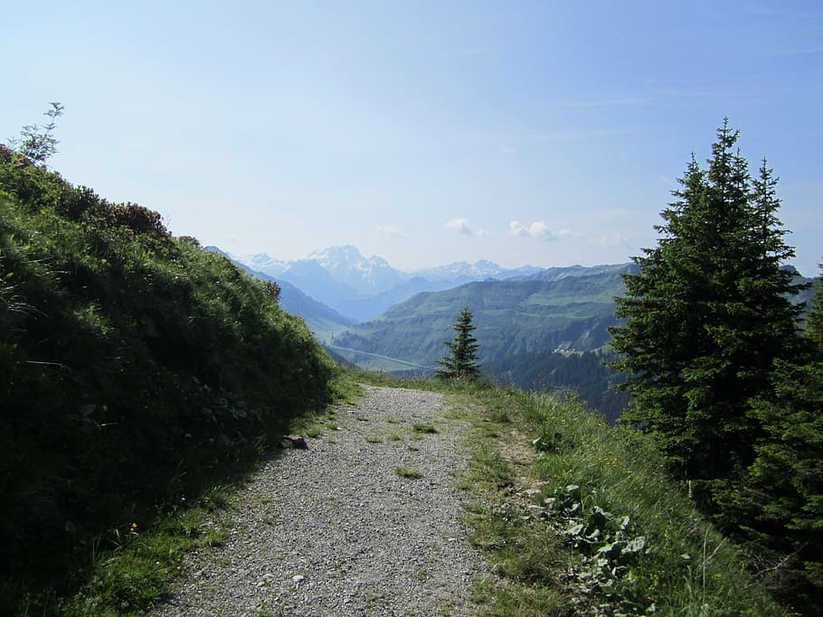 trail, away, lane, mountains, high, plant, tree, sky, beauty in nature HD wallpaper