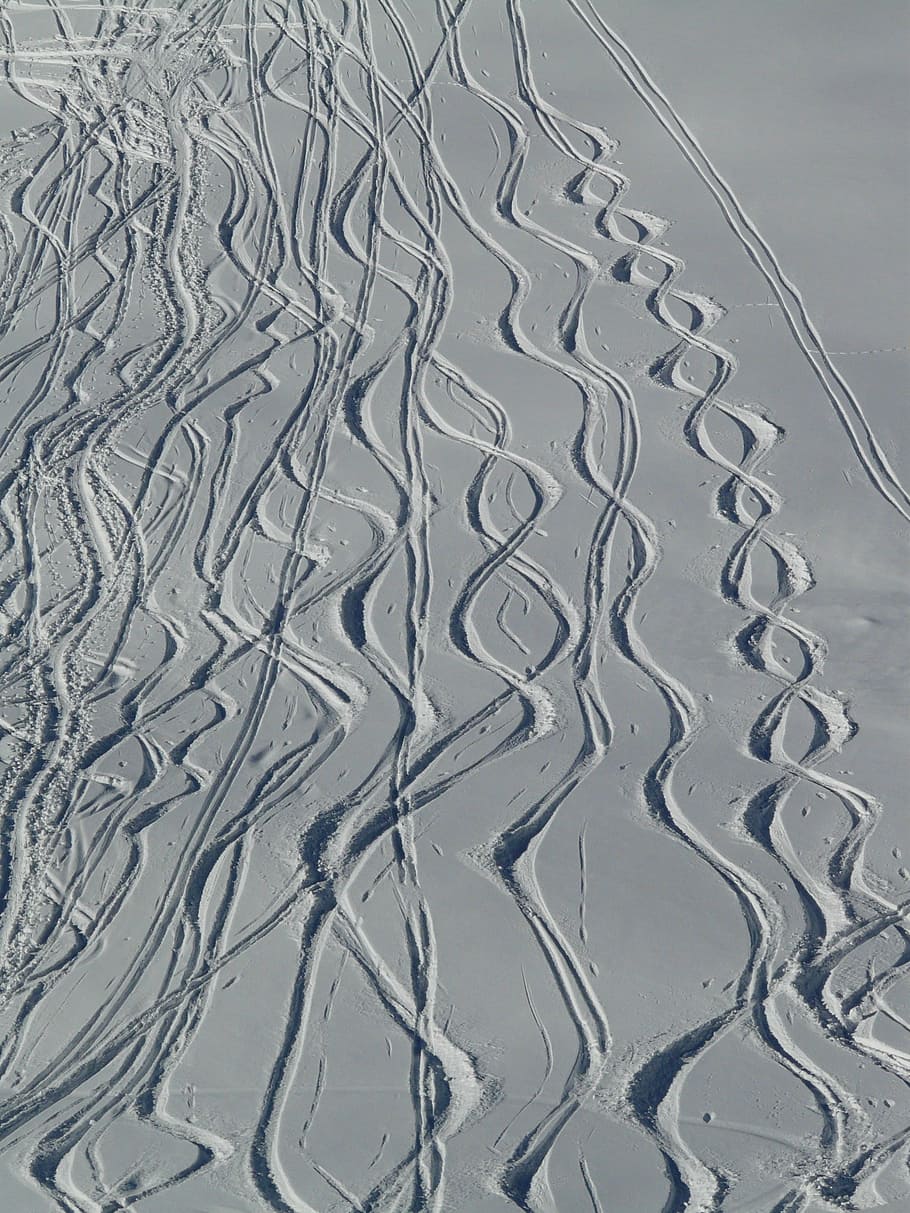 Skiing, Departure, Wag, Trace, Curves, powder snow, wintry HD wallpaper
