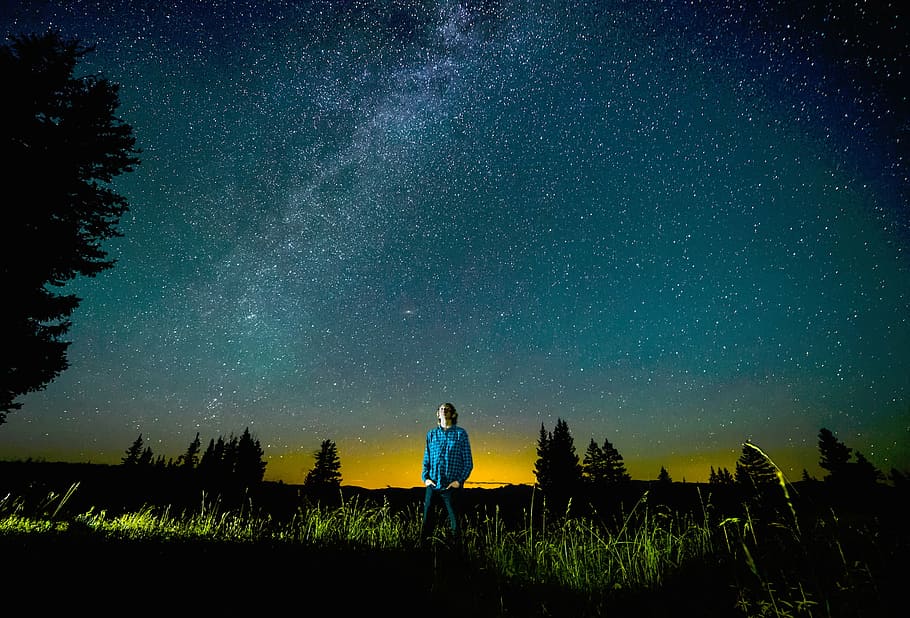 man standing on grass under starry night, nature, trees, sky HD wallpaper