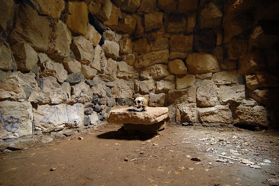 skull on brown stone, cell, prison, oubliette, convict, wall HD wallpaper