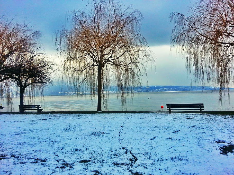 lake, winter landscape, snowy landscape, nature, bench, panorama, HD wallpaper
