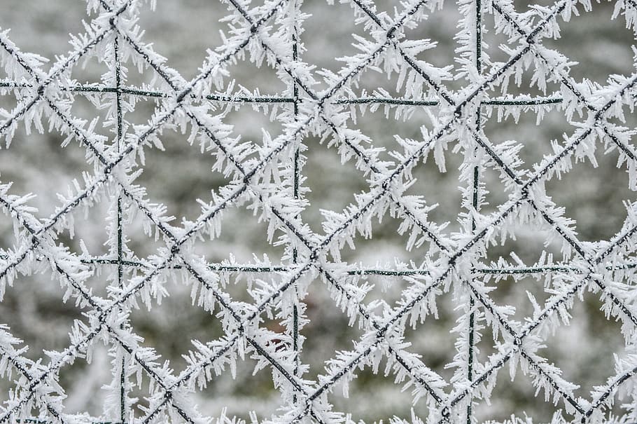 gel, winter, closing, cold, cold temperature, snow, backgrounds HD wallpaper