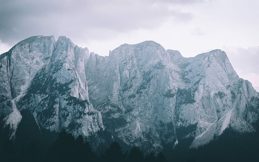 silhouette of trees under white rocky mountain, landscape photography of gray mountain during daytime HD wallpaper