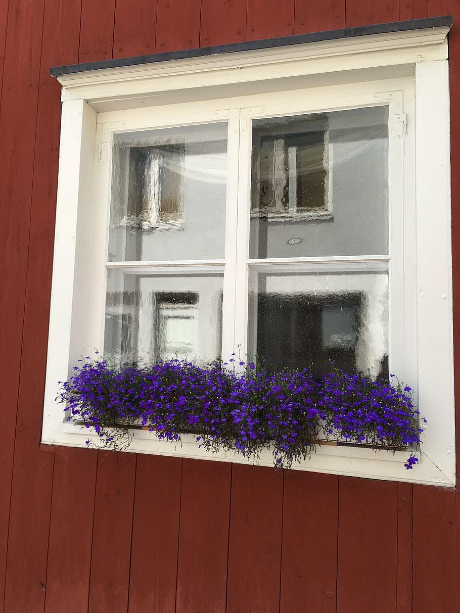 finland, window, old, architecture, building, scandinavia, europe, HD wallpaper