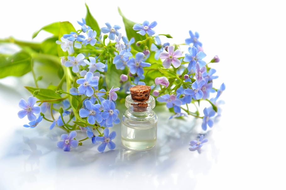 purple 5-petaled flowers, cosmetic oil, essential oil, cosmetology