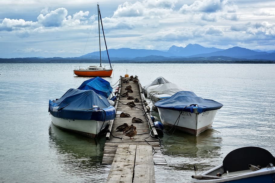 boardwalk, web, water, nature, lake, jetty, chiemsee, boats HD wallpaper