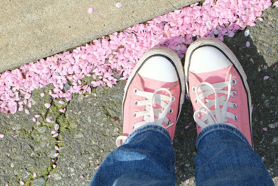 Pair of pink and white Converse shoes, spring, chucks, pink flowers