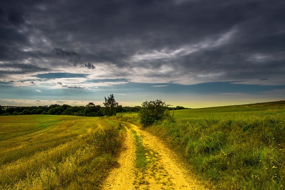 green rice field, landscape, away, clouds, sky, nature, cloud - sky HD wallpaper