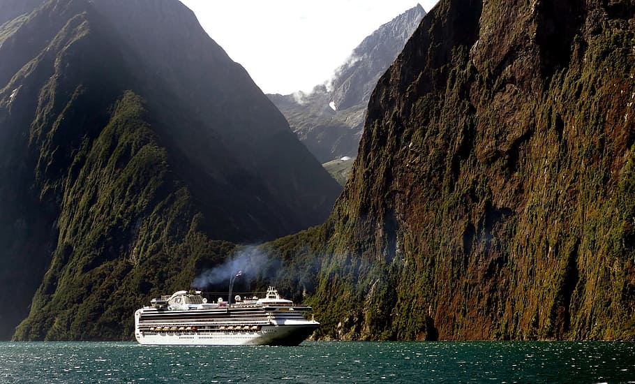 white cruise ship, vessel, ocean, vacation, people, milford sound, HD wallpaper