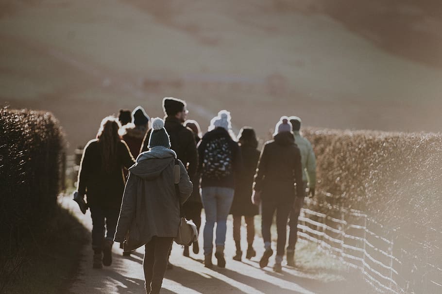 group of people wearing jackets while walking, group of people walking near fence with topiary HD wallpaper