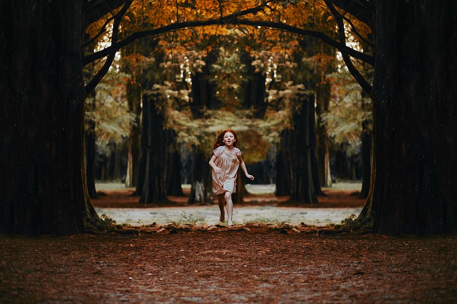 person, woman, girl, trees, adorable, adventure, autumn colours, HD wallpaper