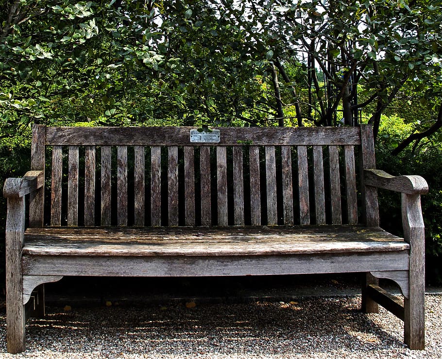 bench, old, grass, park, wood - material, plant, seat, tree HD wallpaper